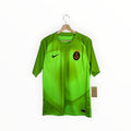Galatasaray green football shirt nike 