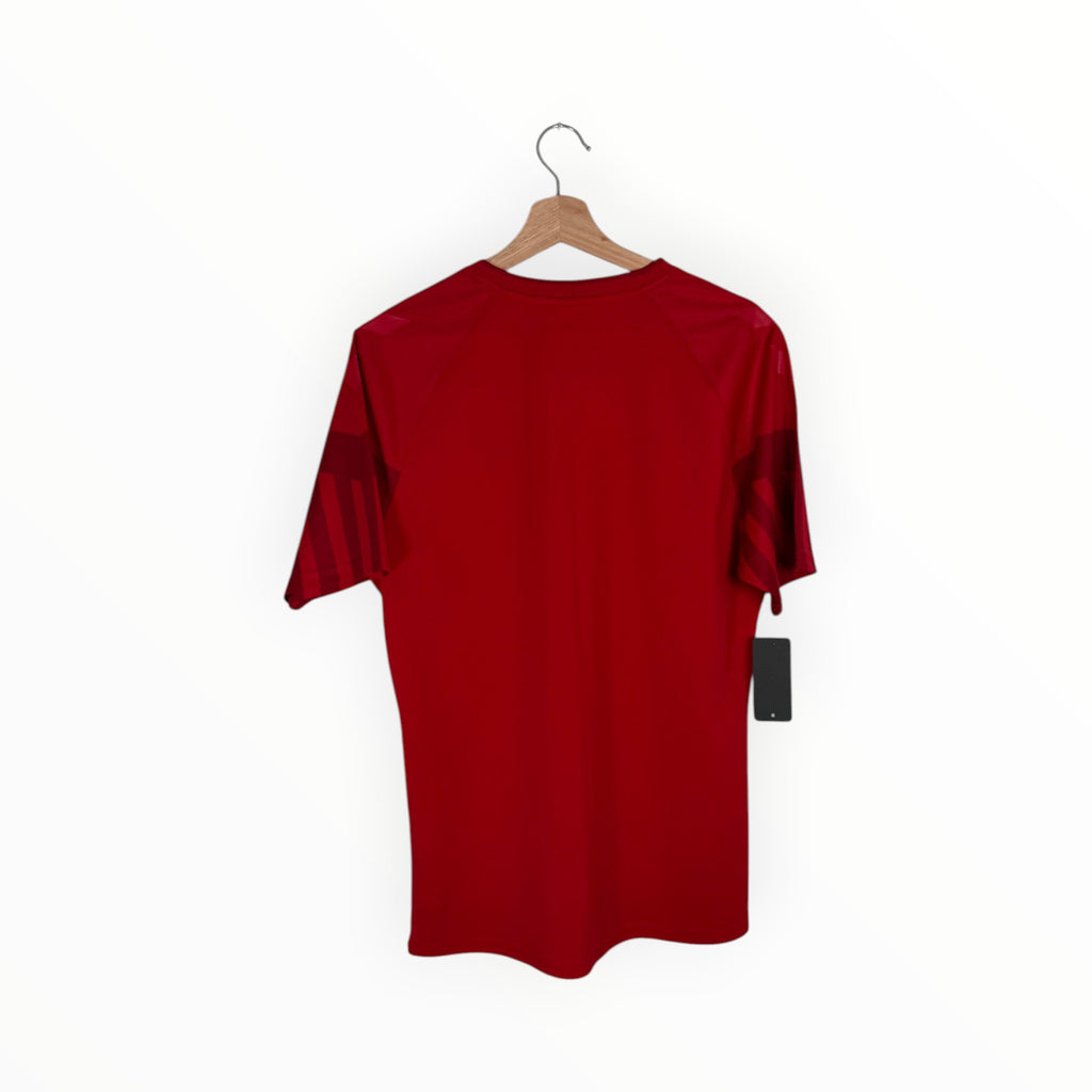 red football shirt denmark